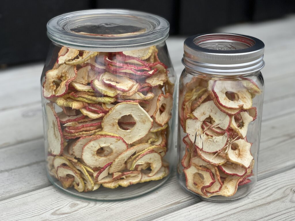 Ferdig tørkede epler
Dehydrating fruit - here you can see dehydrated apples