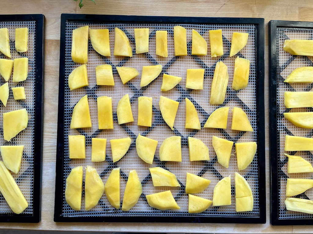 Mango som skal tørkes i en dehydrator eller tørkemaskin