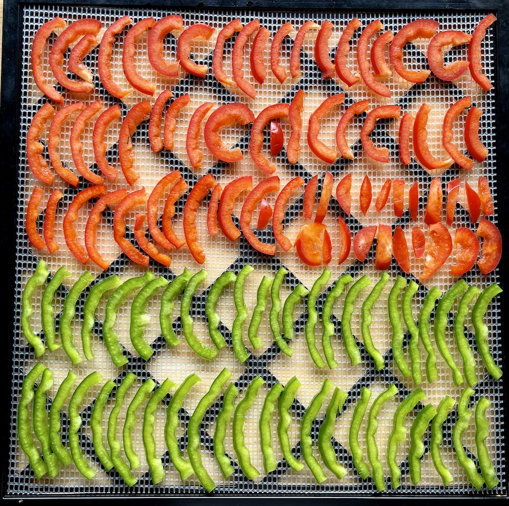 Paprika før det skal tørkes
Dehydrating vegetables: red and green bell pepper before dehydrating