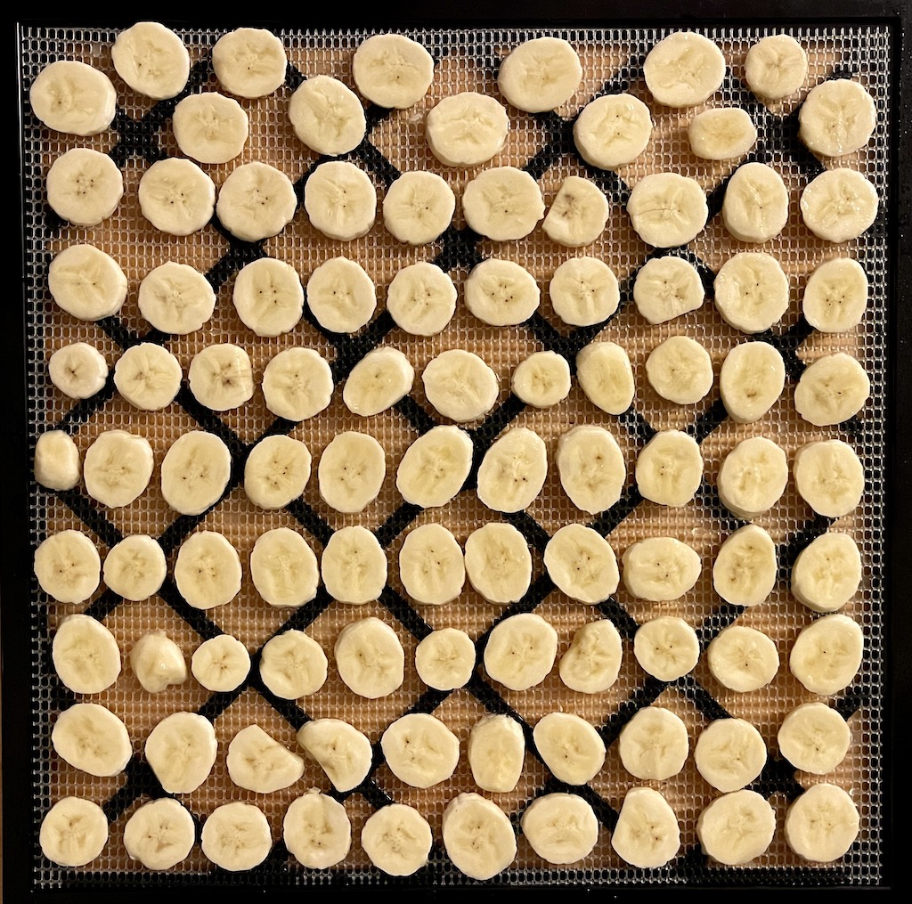 Dehydrating bananas: this picture shows bananas before dehydrating