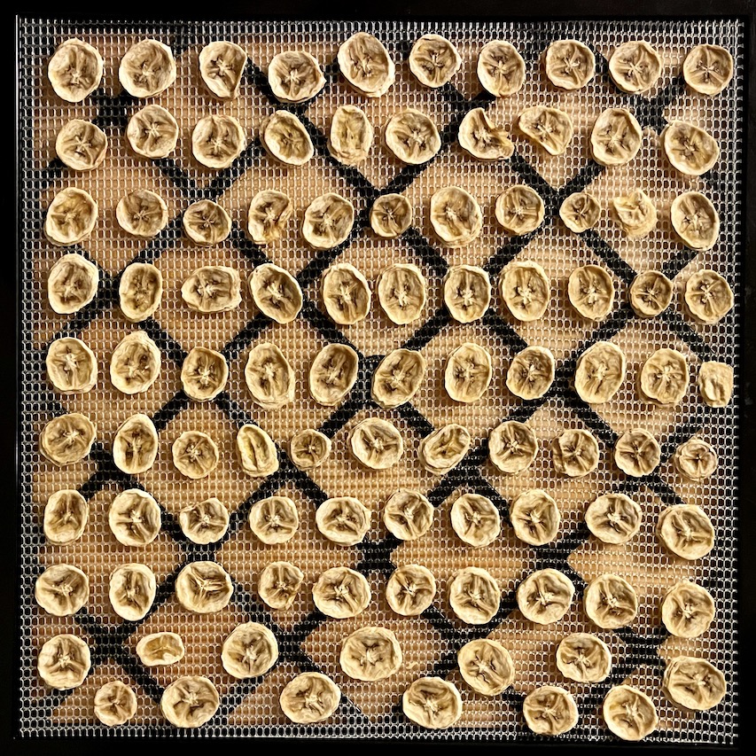Dehydrating fruit: this picture shows dried bananas